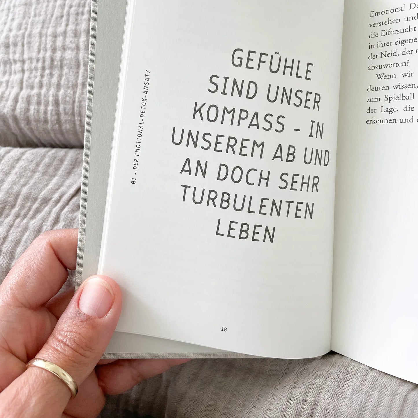 Emotional Detox, Buch