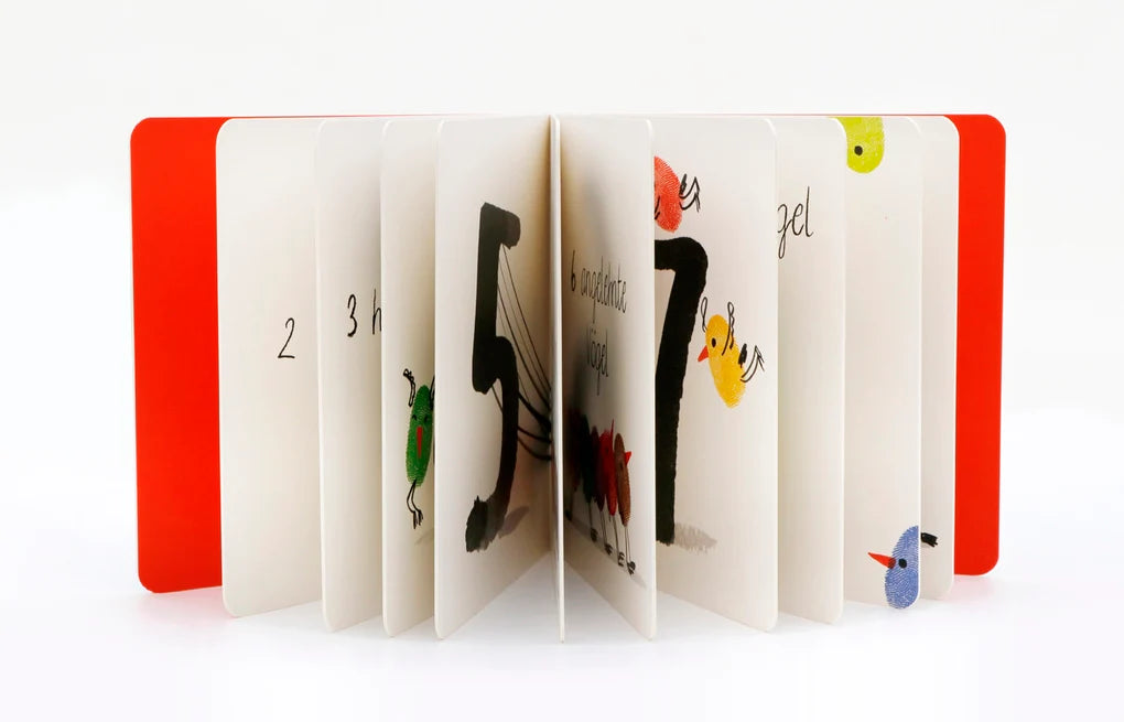 SCHAU MAL, ZAHLEN! BUCH