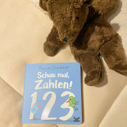 SCHAU MAL, ZAHLEN! BUCH