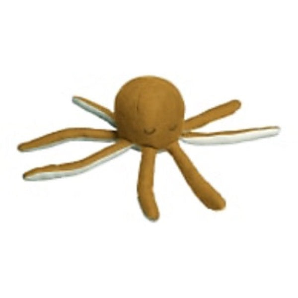 Krake Knister